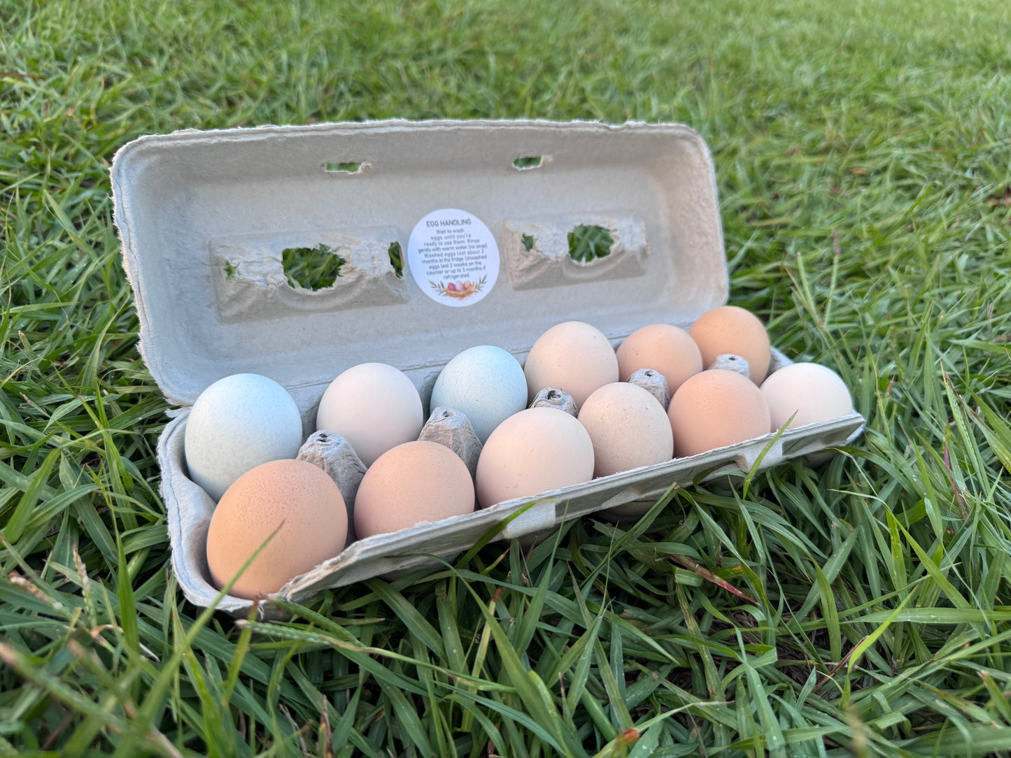 Farm Fresh Eggs
