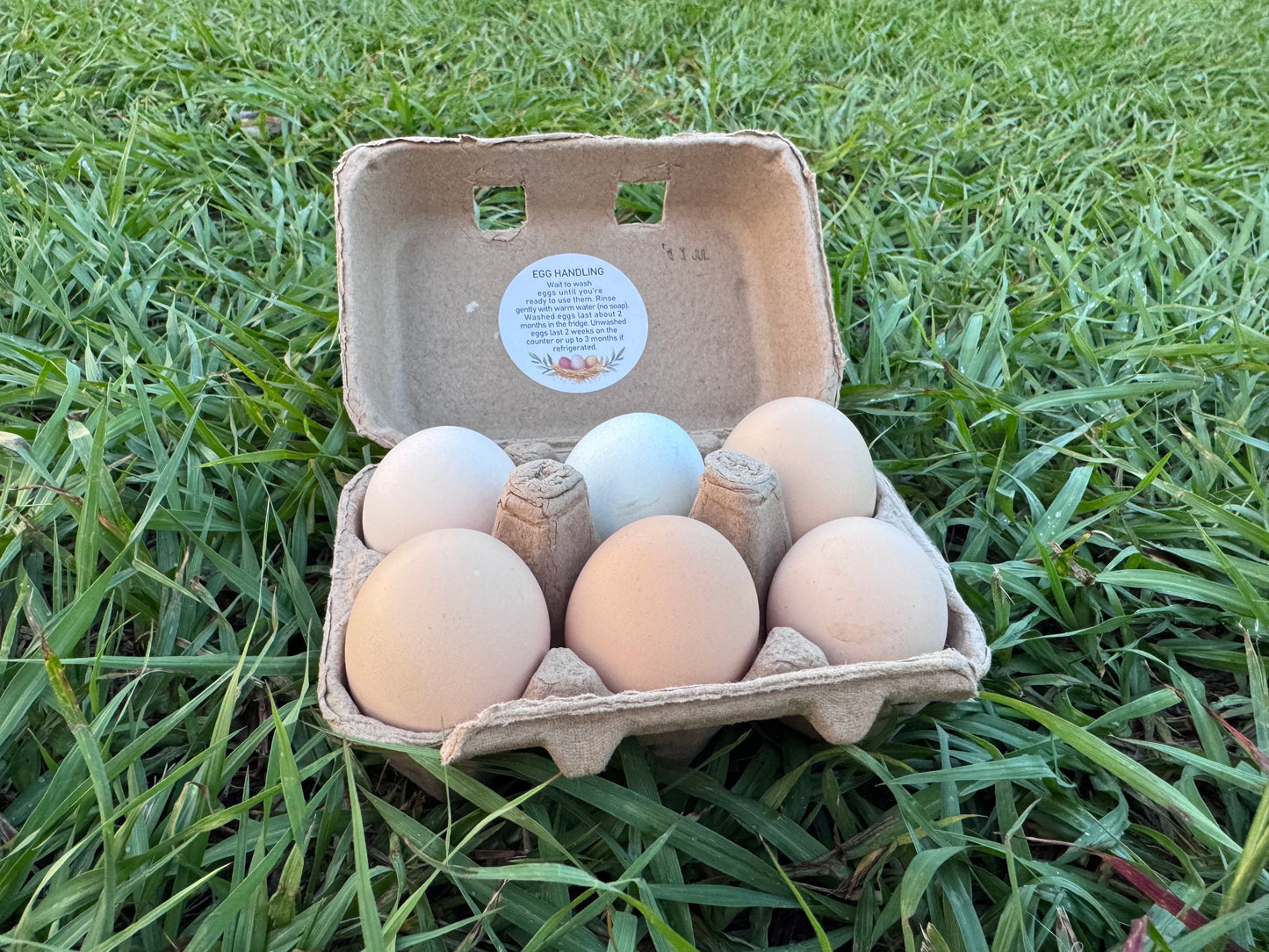 Farm Fresh Eggs